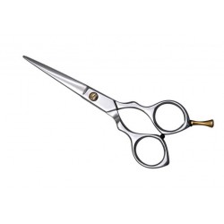 Barber Scissors